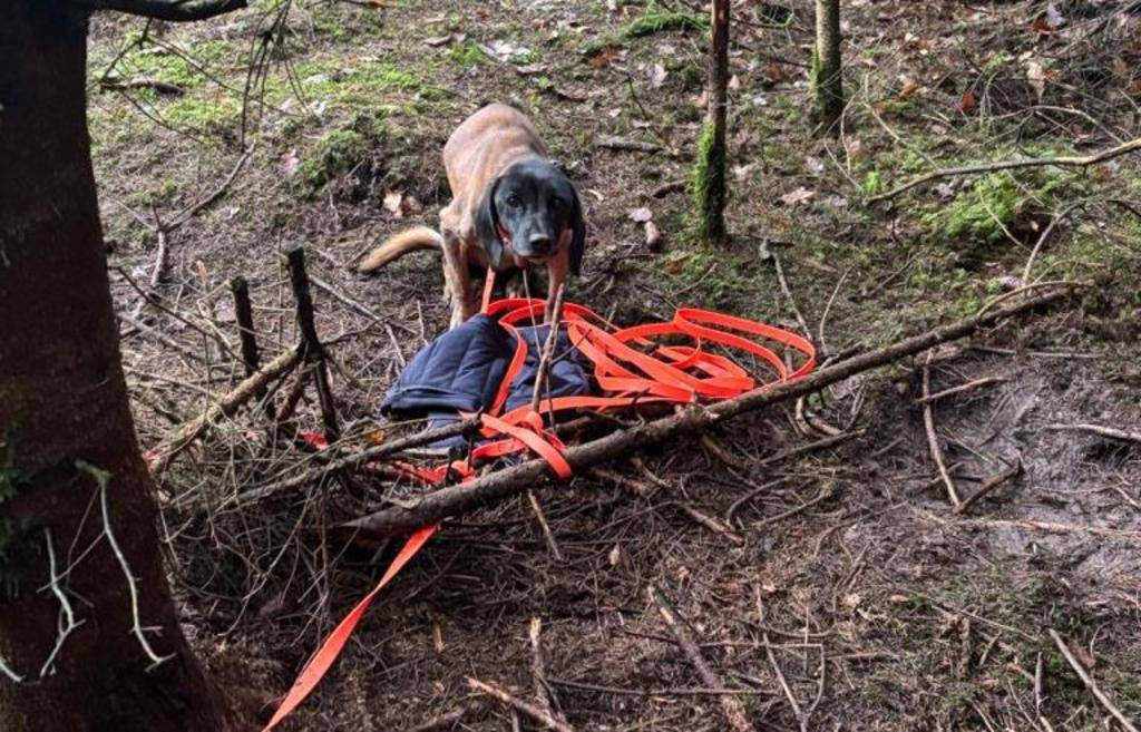 72da1179f9b4 29 133659641