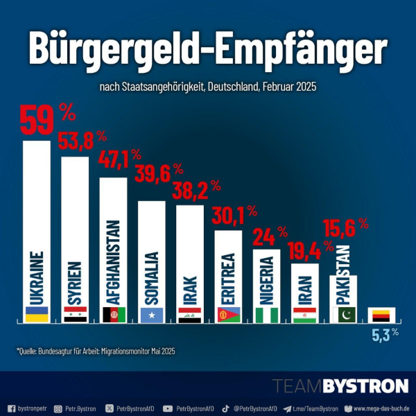 Buergergeld