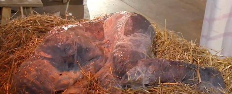 bildschirmfoto 2025 12 26 um 095921