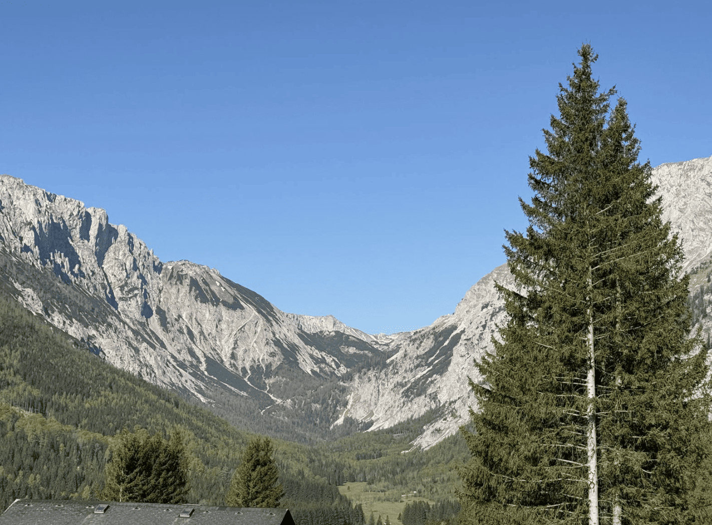 Bildschirmfoto 2025 05 03 um 09.33.17
