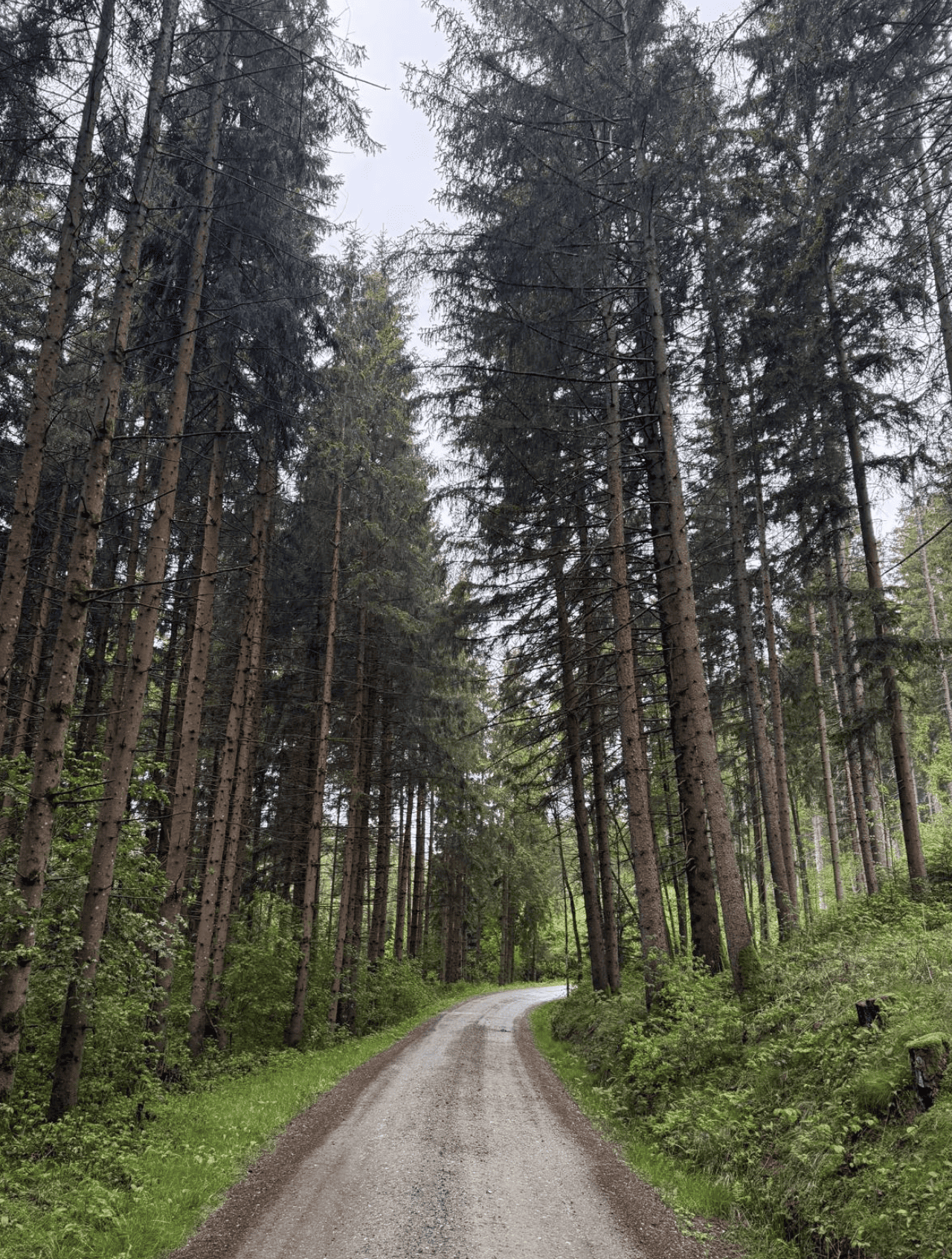 Bildschirmfoto 2025 05 05 um 14.04.43