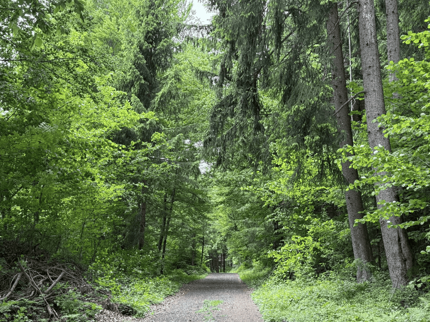 Bildschirmfoto 2025 05 13 um 10.14.14