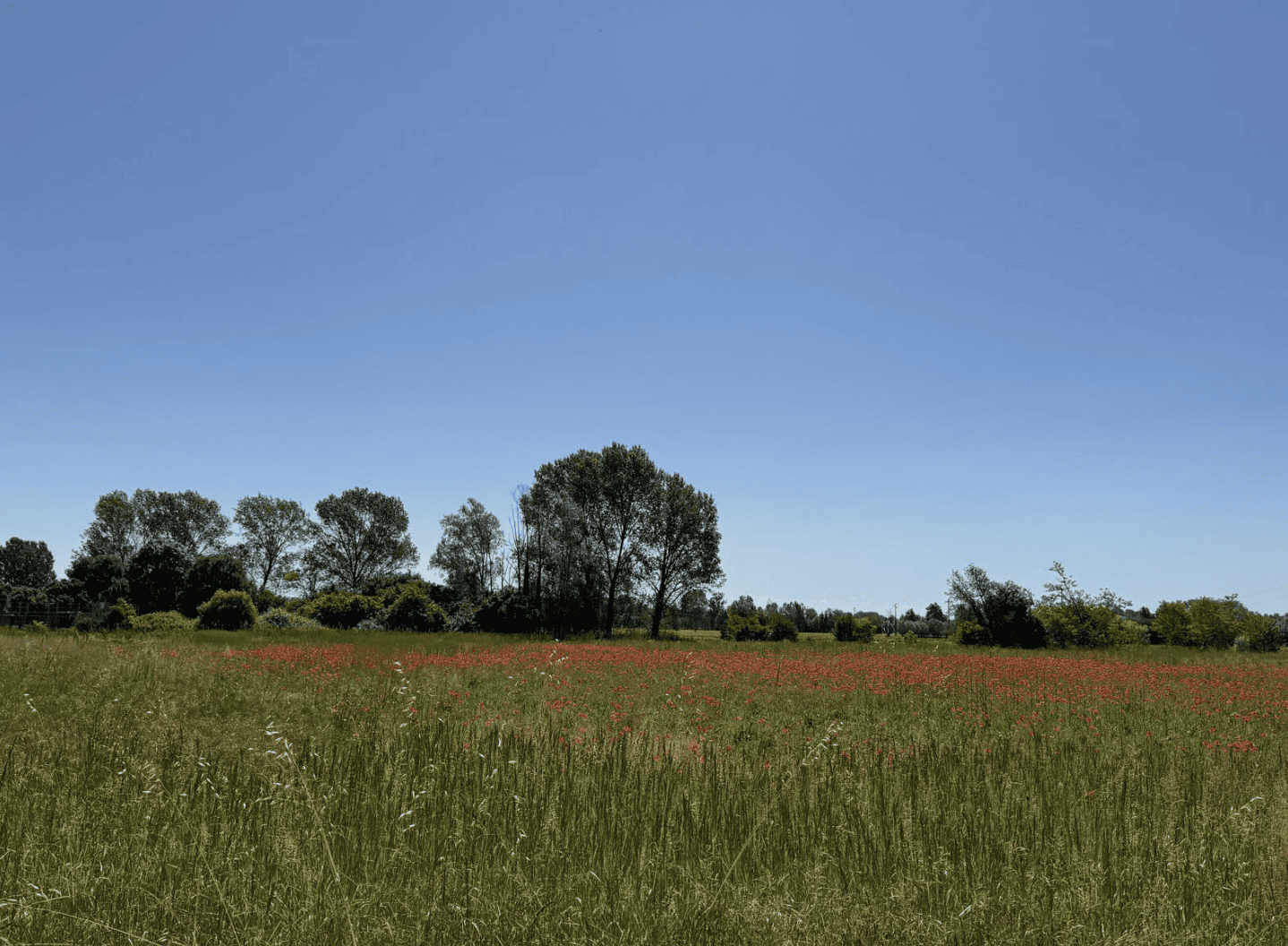 Bildschirmfoto 2025 05 17 um 10.08.43