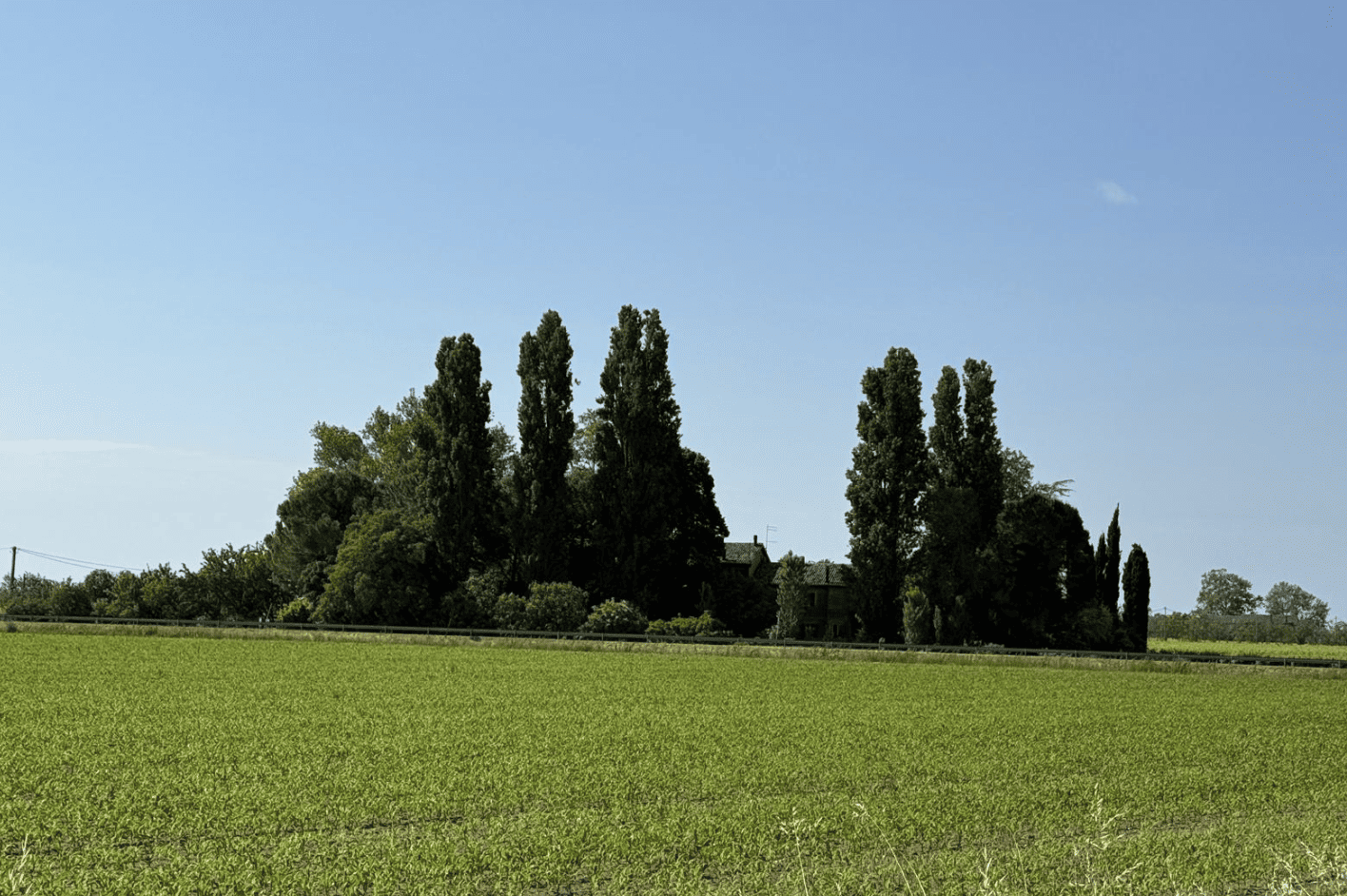 Bildschirmfoto 2025 05 19 um 12.50.02