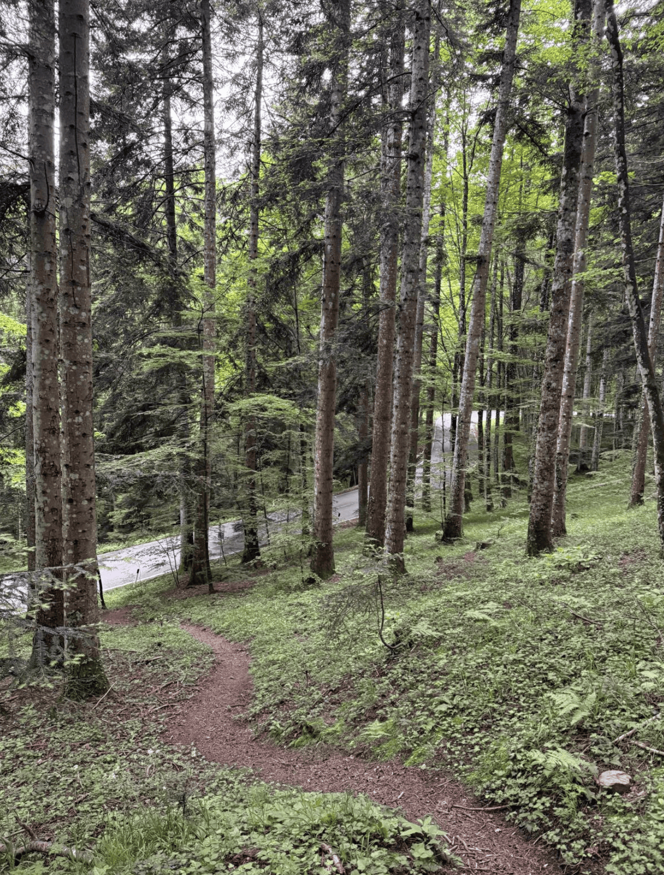Bildschirmfoto 2025 05 29 um 11.05.42