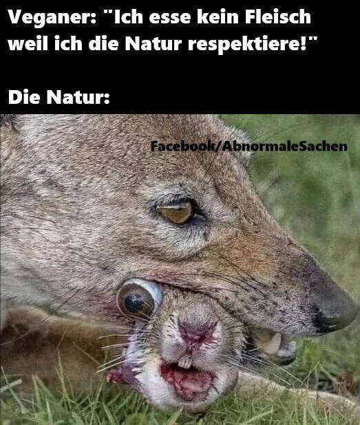 487478494 3891970434348855 415206753405474026 n