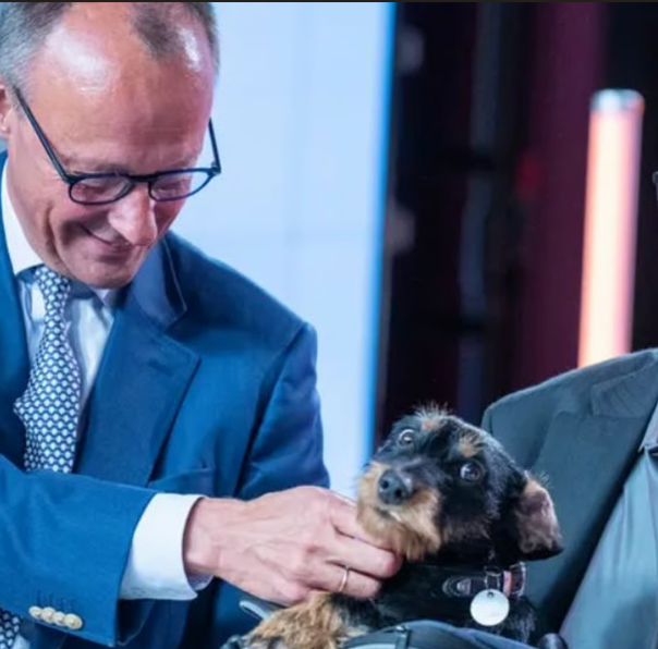 Screenshot 2026 02 16 152016