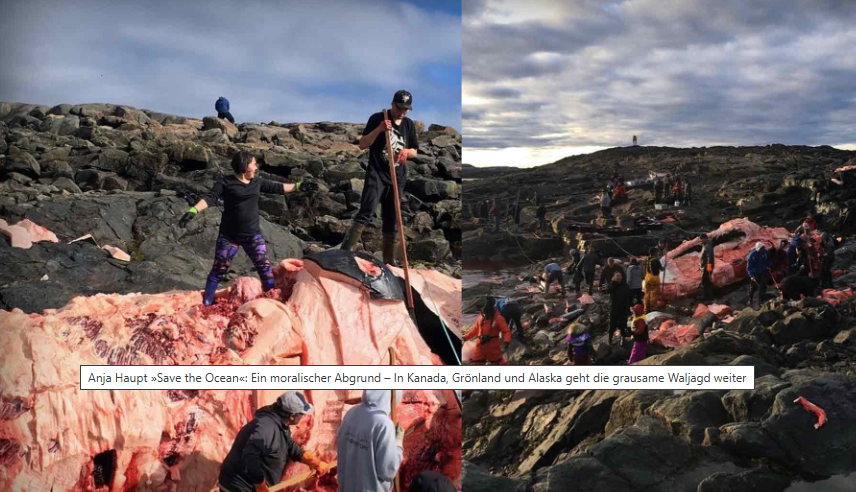 Screenshot 2026 04 28 074737