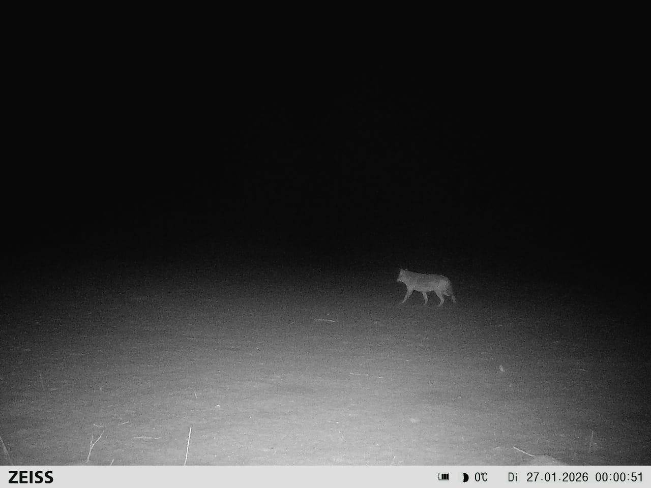 d239941d 8b90 4c3a 97d1 a1e867b1667a