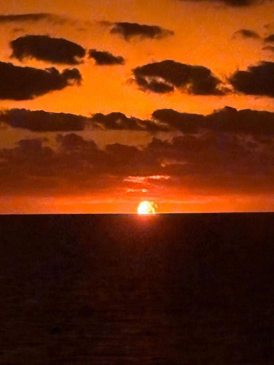 photo 2026 03 04 09 37 06 2