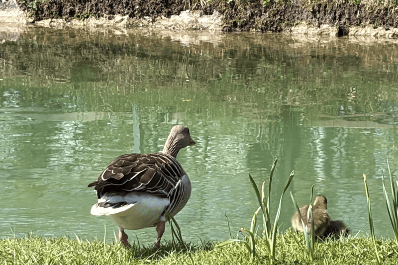 Bildschirmfoto 2026 04 19 um 18.19.44
