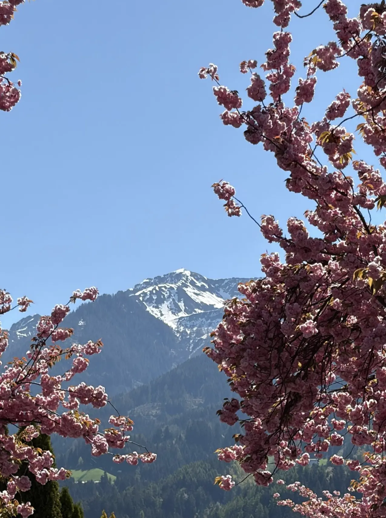 Bildschirmfoto 2026 04 24 um 17.43.27