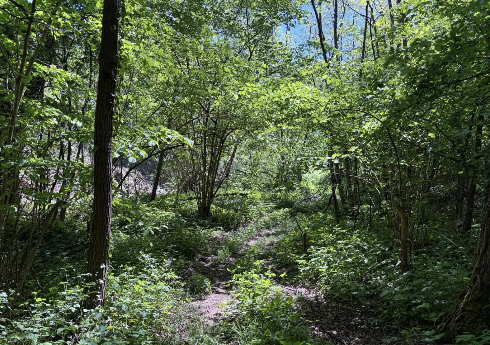 Bildschirmfoto 2026 05 03 um 10.06.17