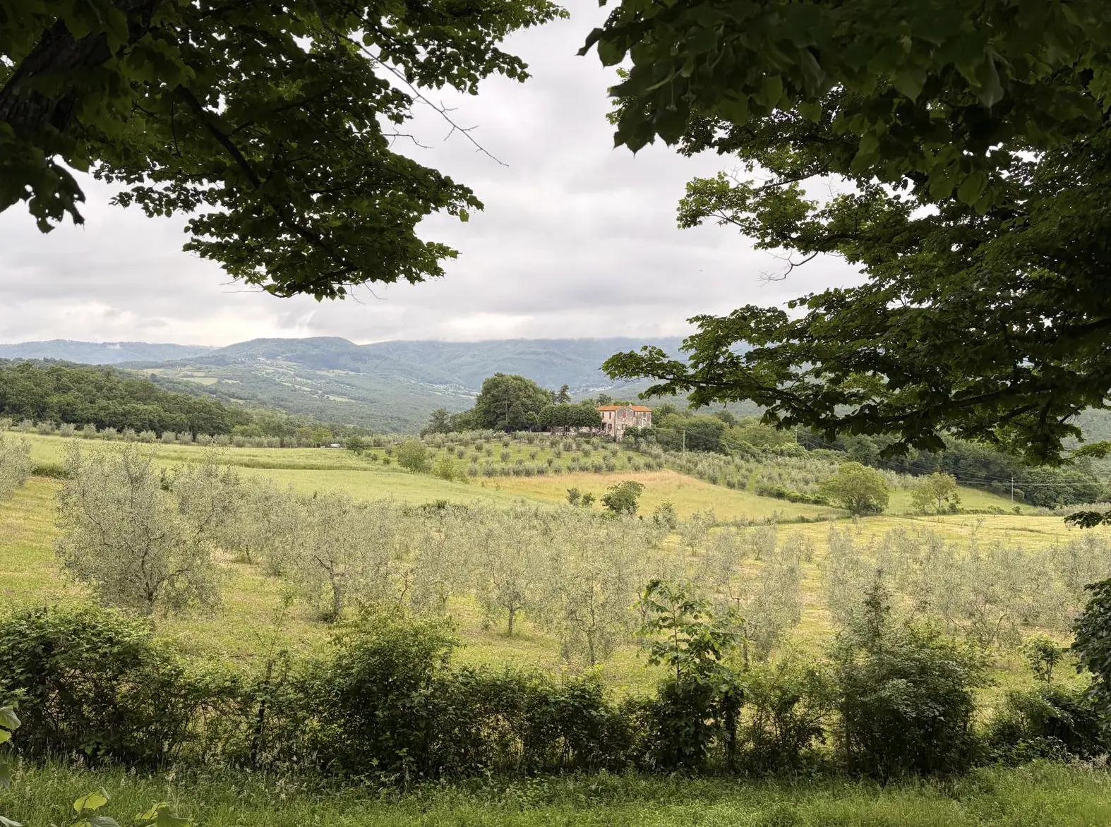 Bildschirmfoto 2026 05 20 um 18.46.17