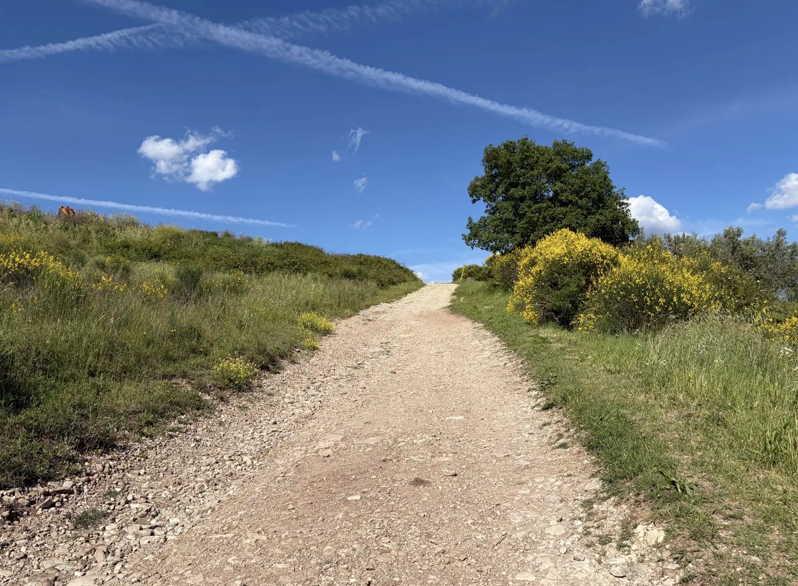 Bildschirmfoto 2026 05 22 um 20.53.16