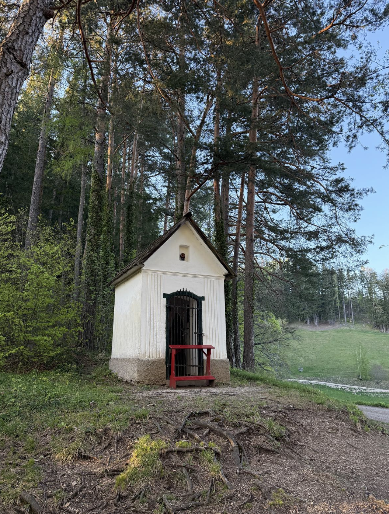 Bildschirmfoto 2025 04 30 um 09.56.21