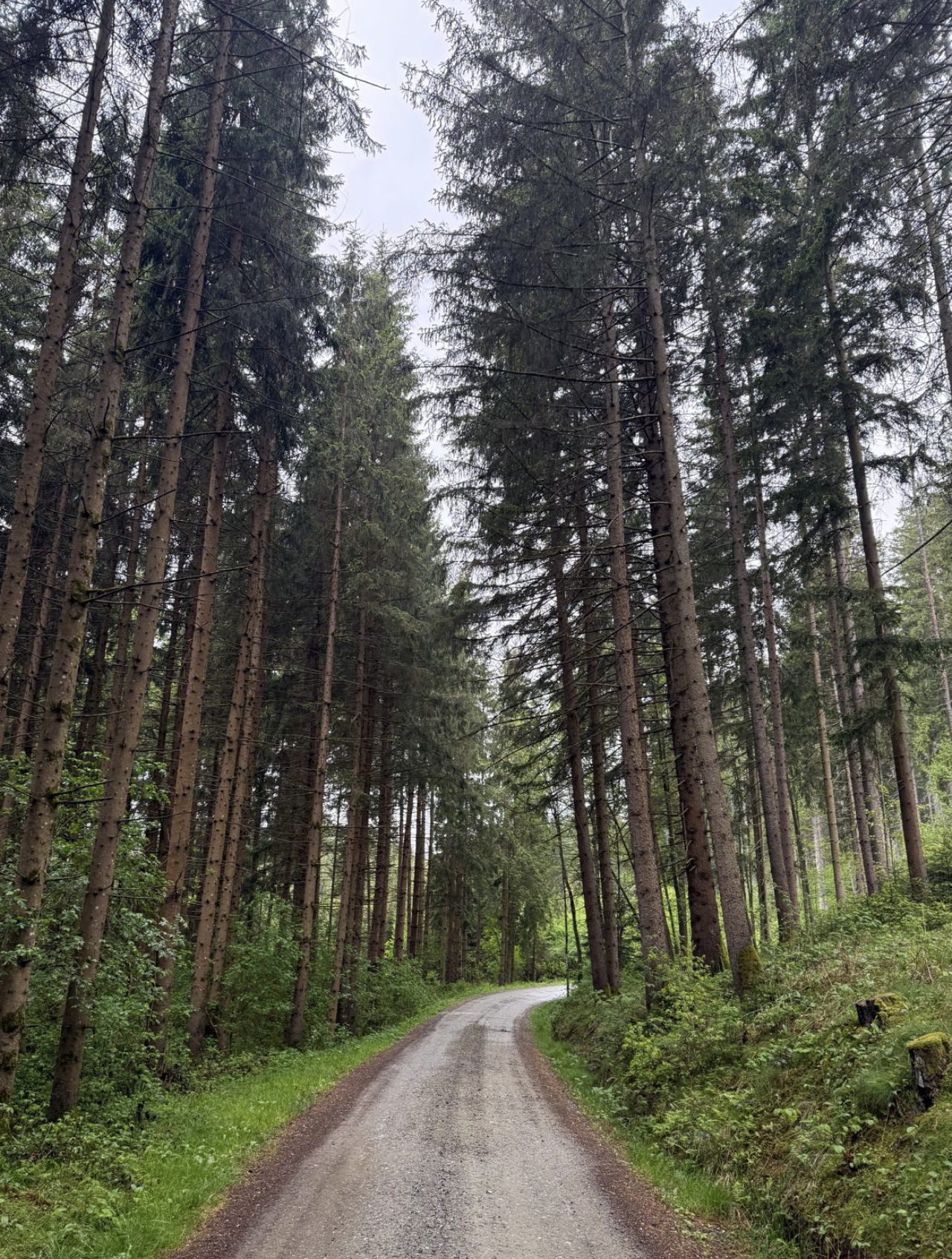 Bildschirmfoto 2025 05 05 um 14.04.43