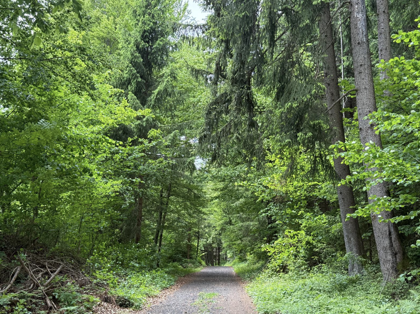 Bildschirmfoto 2025 05 13 um 10.14.14
