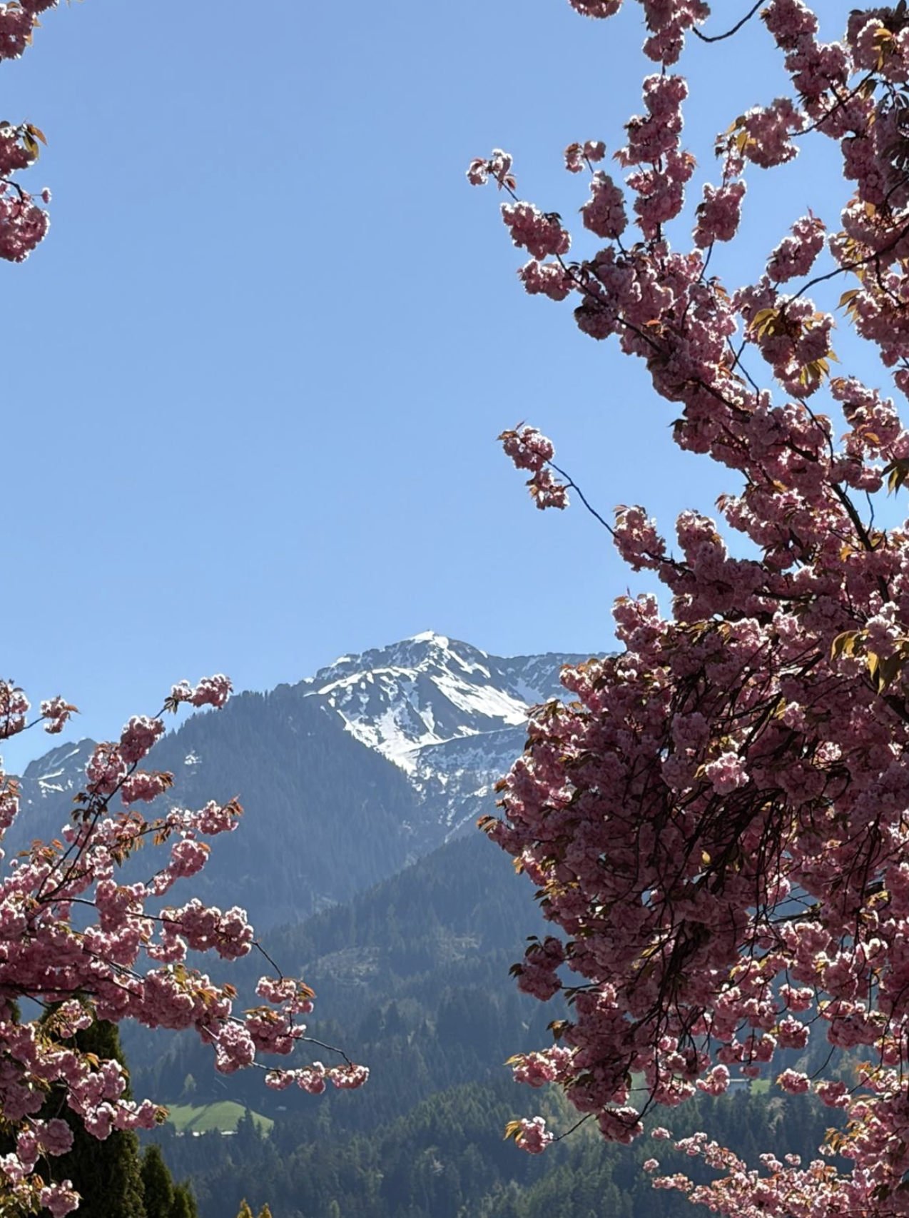 Bildschirmfoto 2026 04 24 um 17.43.27
