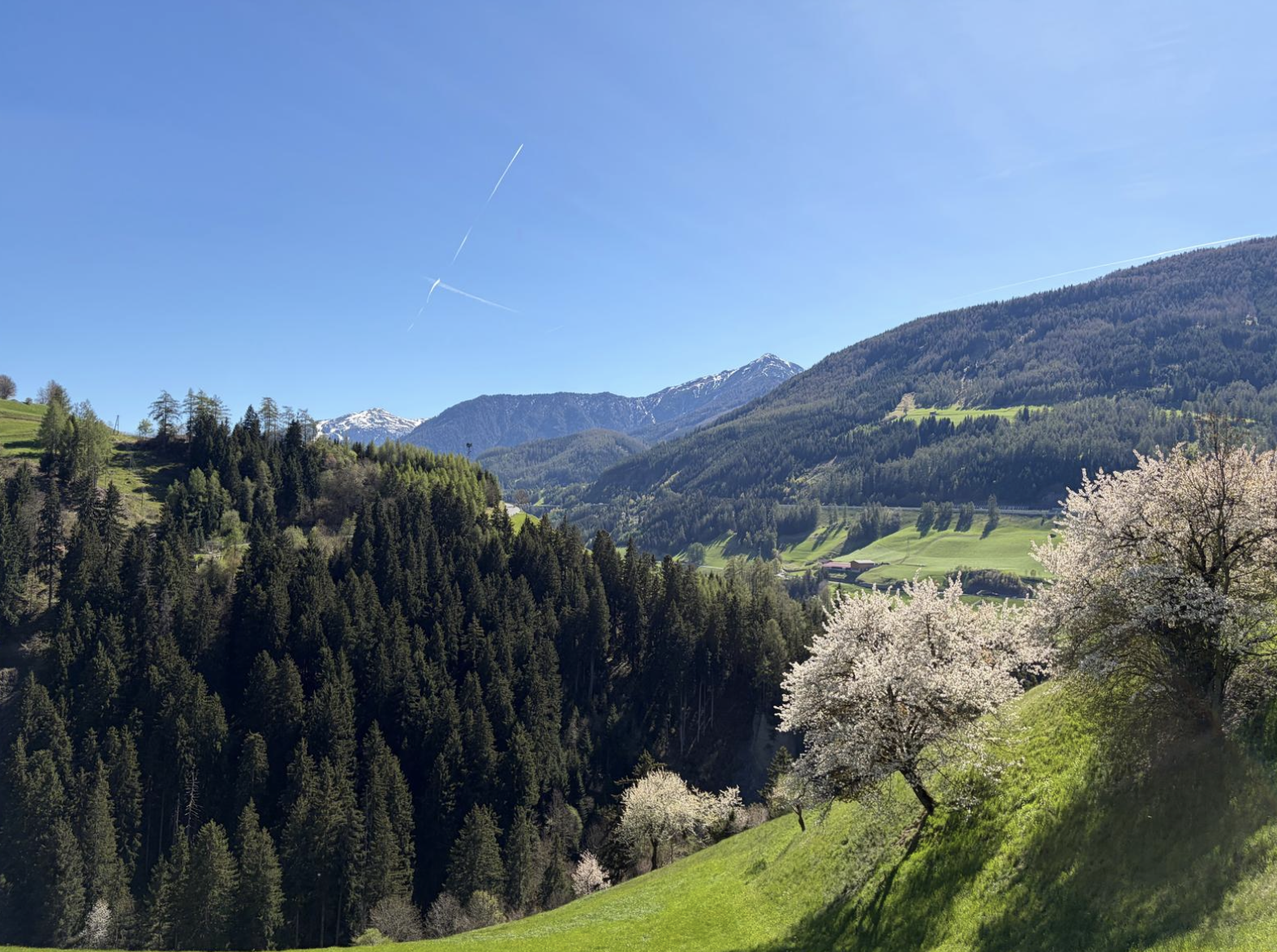 Bildschirmfoto 2026 04 25 um 20.14.02