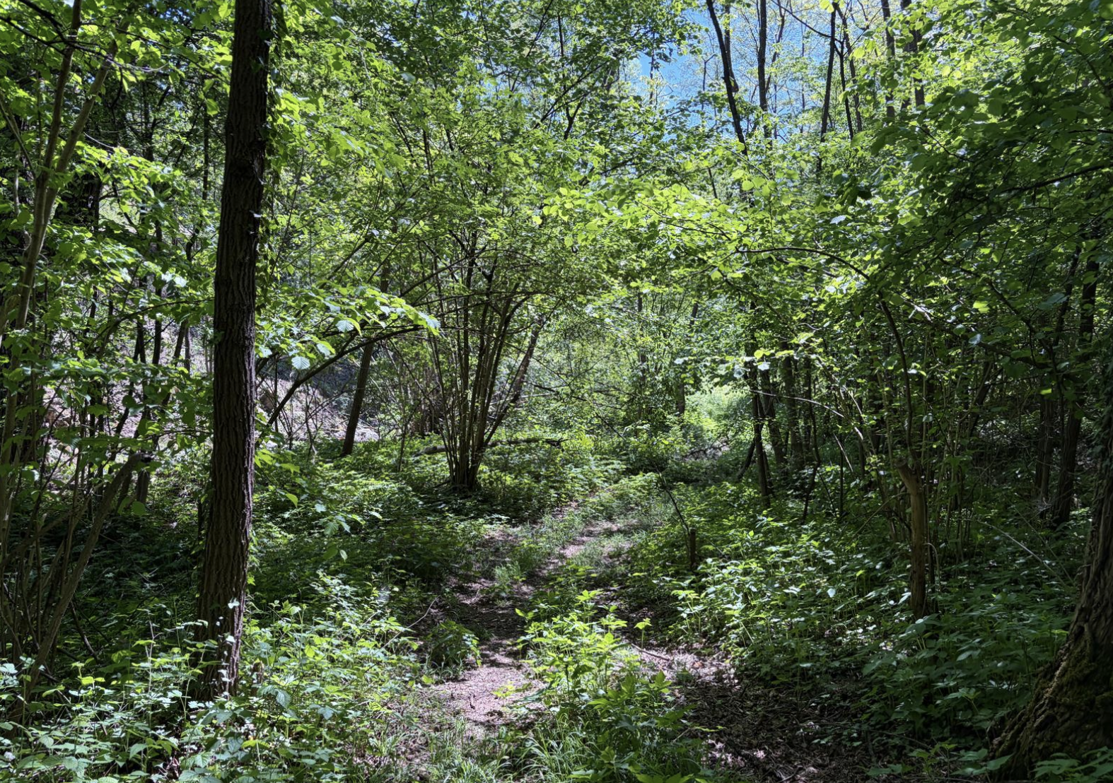 Bildschirmfoto 2026 05 03 um 10.06.17