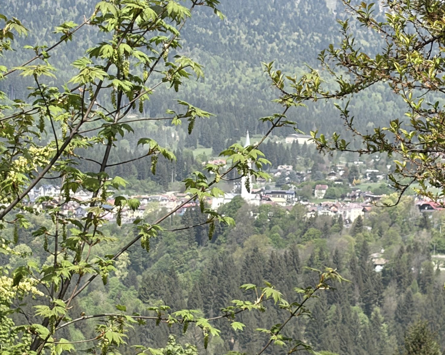 Bildschirmfoto 2026 05 05 um 12.23.54