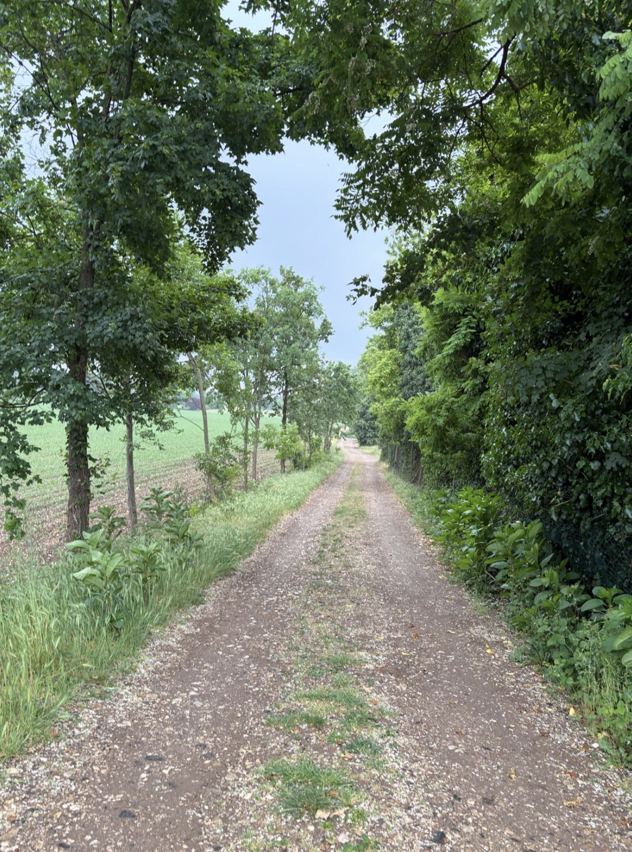 Bildschirmfoto 2026 05 06 um 10.53.33