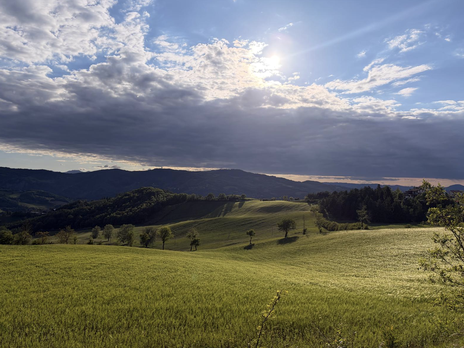 Bildschirmfoto 2026 05 18 um 13.42.00