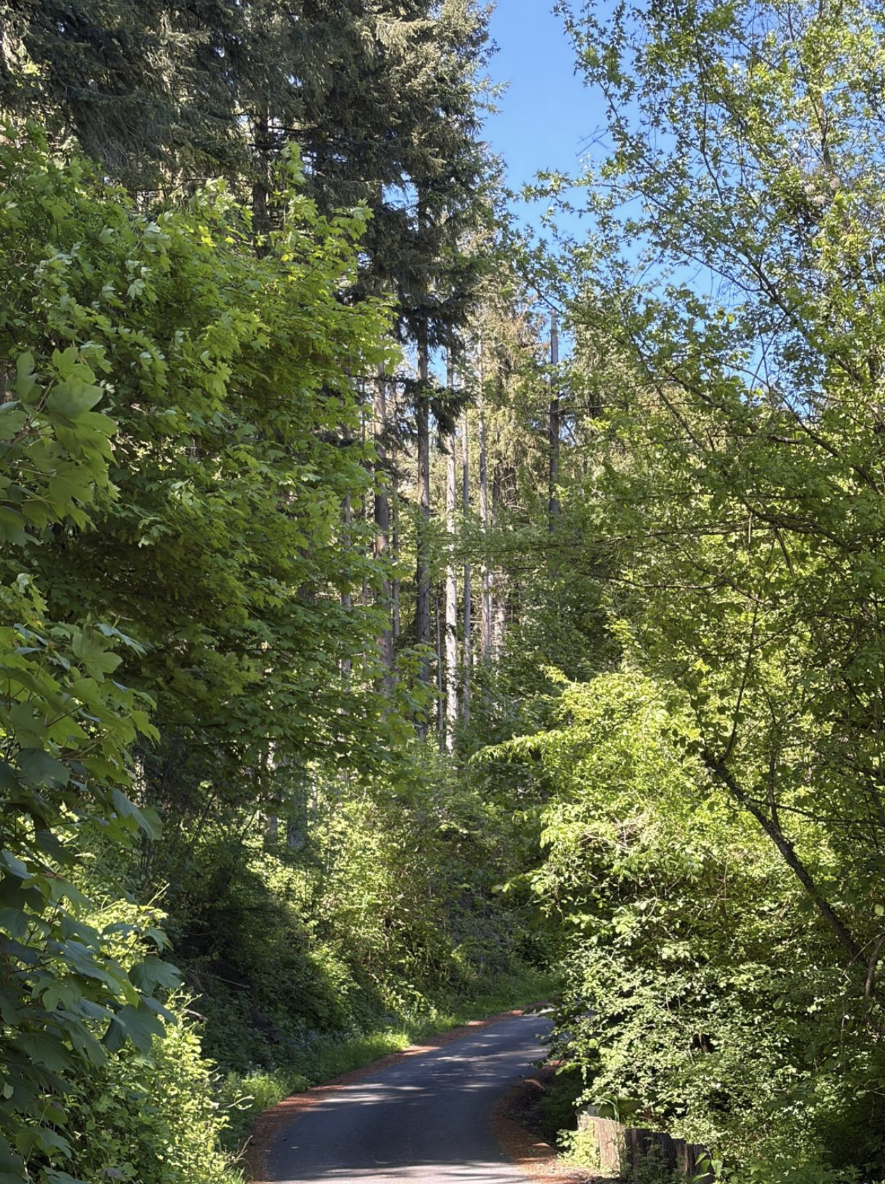 Bildschirmfoto 2026 05 19 um 18.18.59