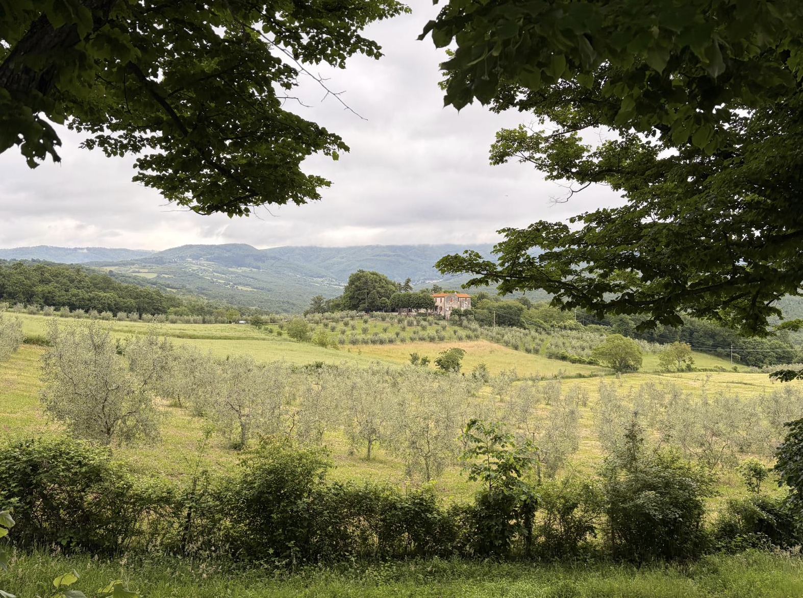 Bildschirmfoto 2026 05 20 um 18.46.17