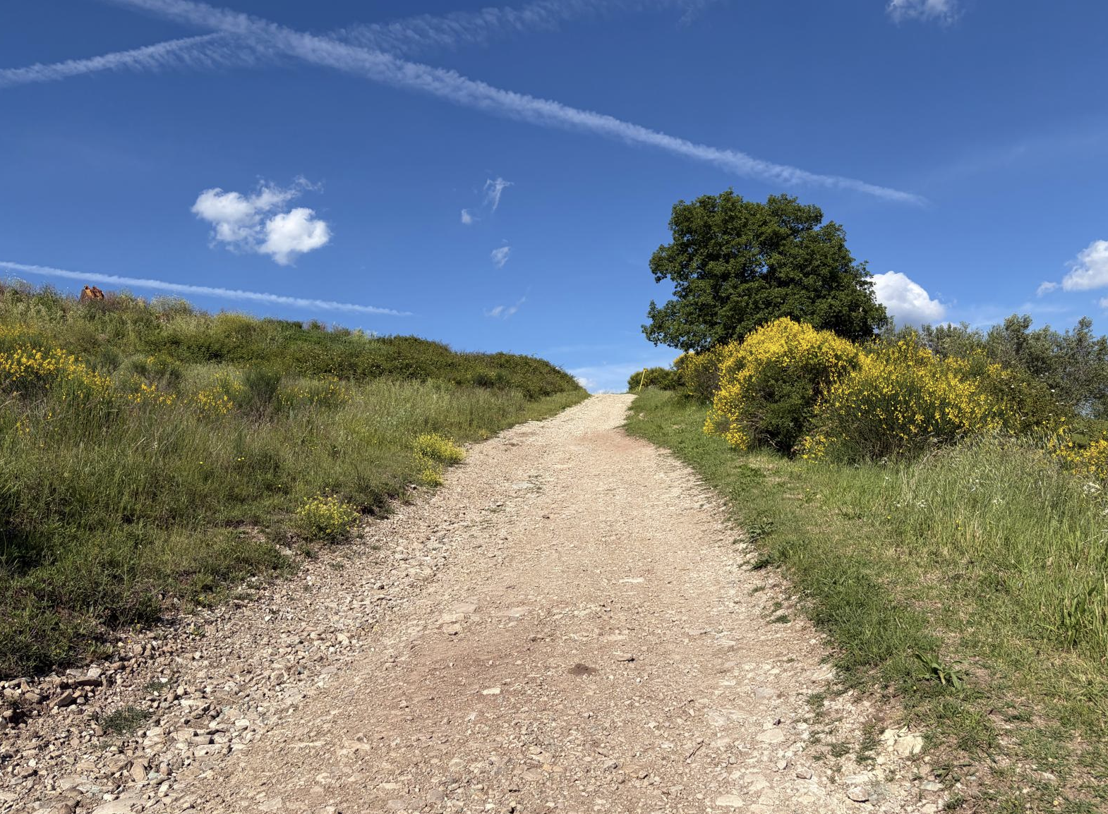 Bildschirmfoto 2026 05 22 um 20.53.16