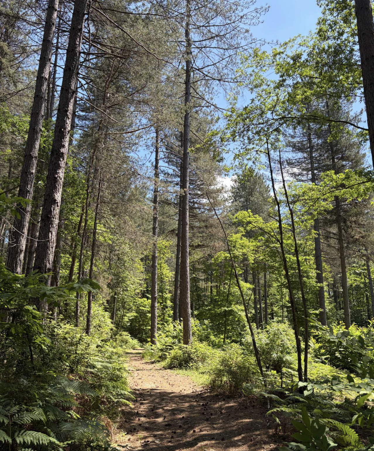 Bildschirmfoto 2026 05 24 um 18.53.43