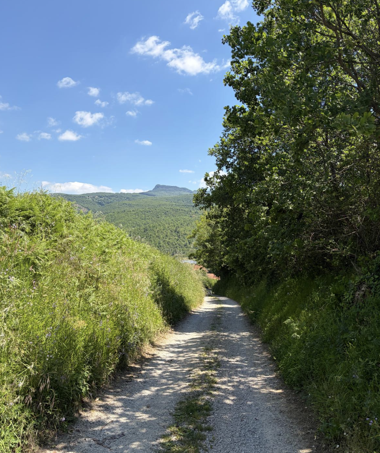 Bildschirmfoto 2026 05 24 um 18.55.24