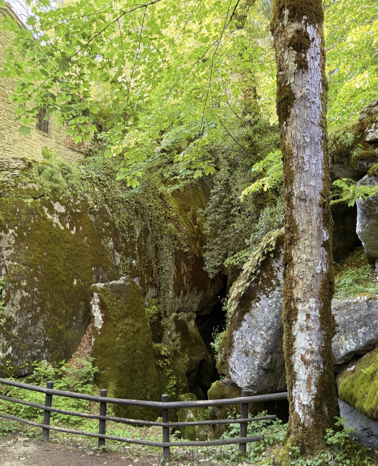 Bildschirmfoto 2026 05 24 um 19.15.44