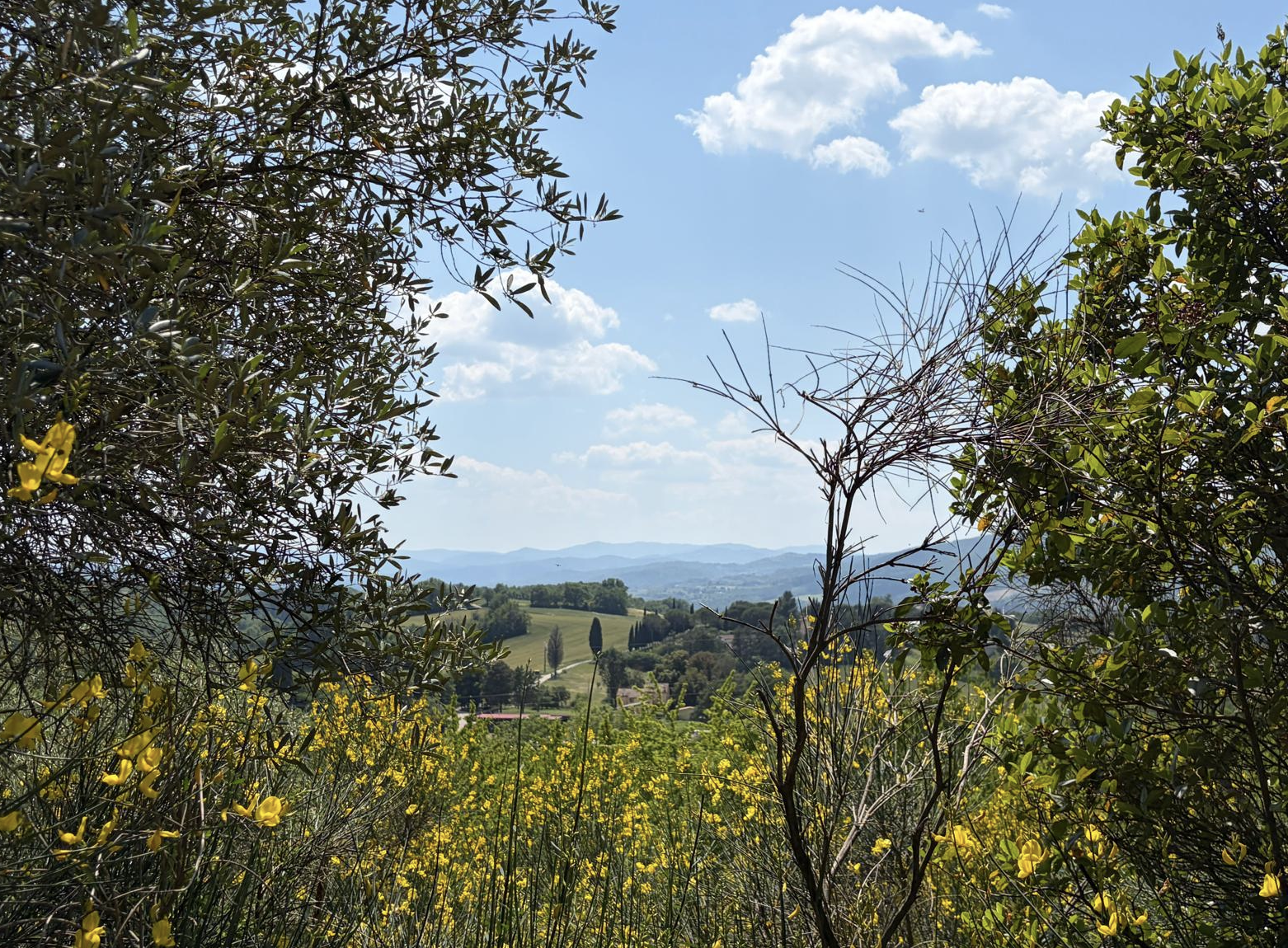 Bildschirmfoto 2026 05 27 um 18.33.17