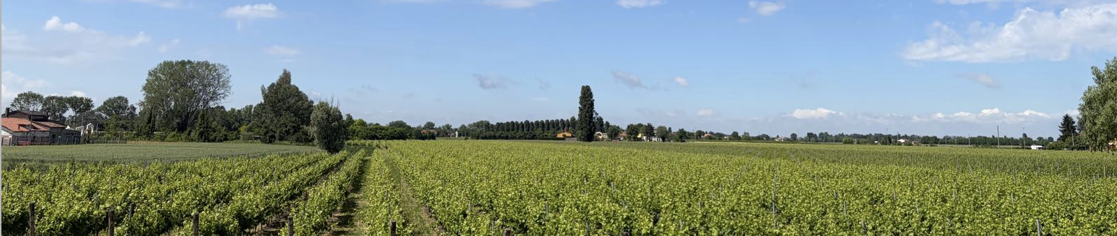 Bildschirmfoto 2026 05 13 um 16.54.20