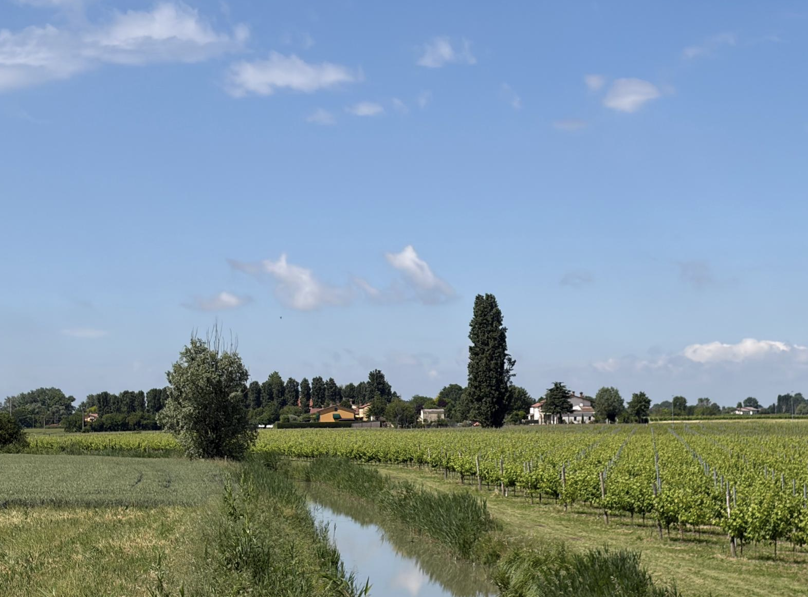 Bildschirmfoto 2026 05 13 um 16.54.33