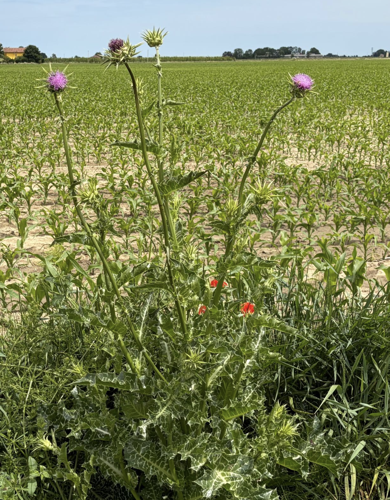 Bildschirmfoto 2026 05 14 um 18.58.49