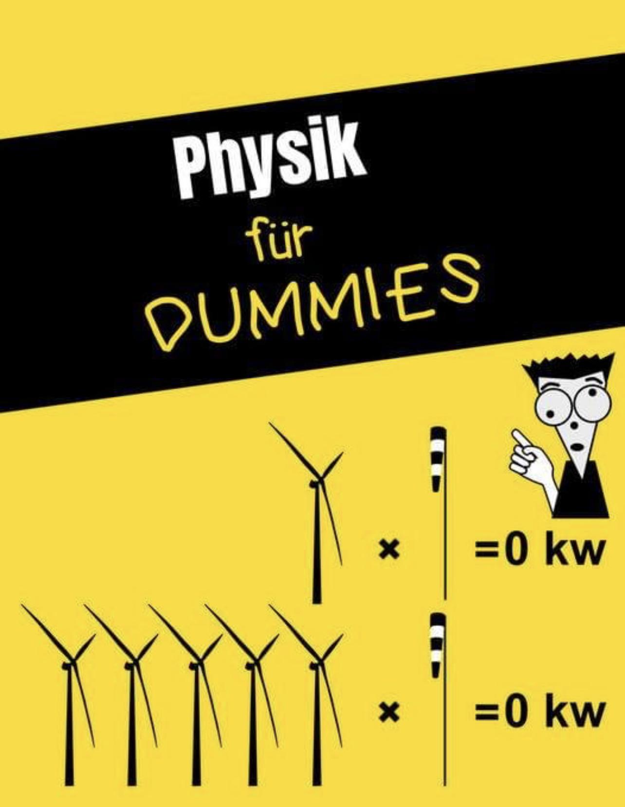 physikfürdummies
