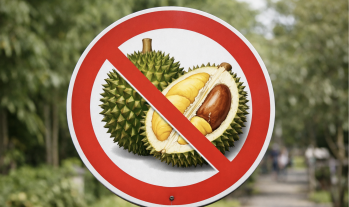 Bildschirmfoto 2026 04 07 um 12.18.45