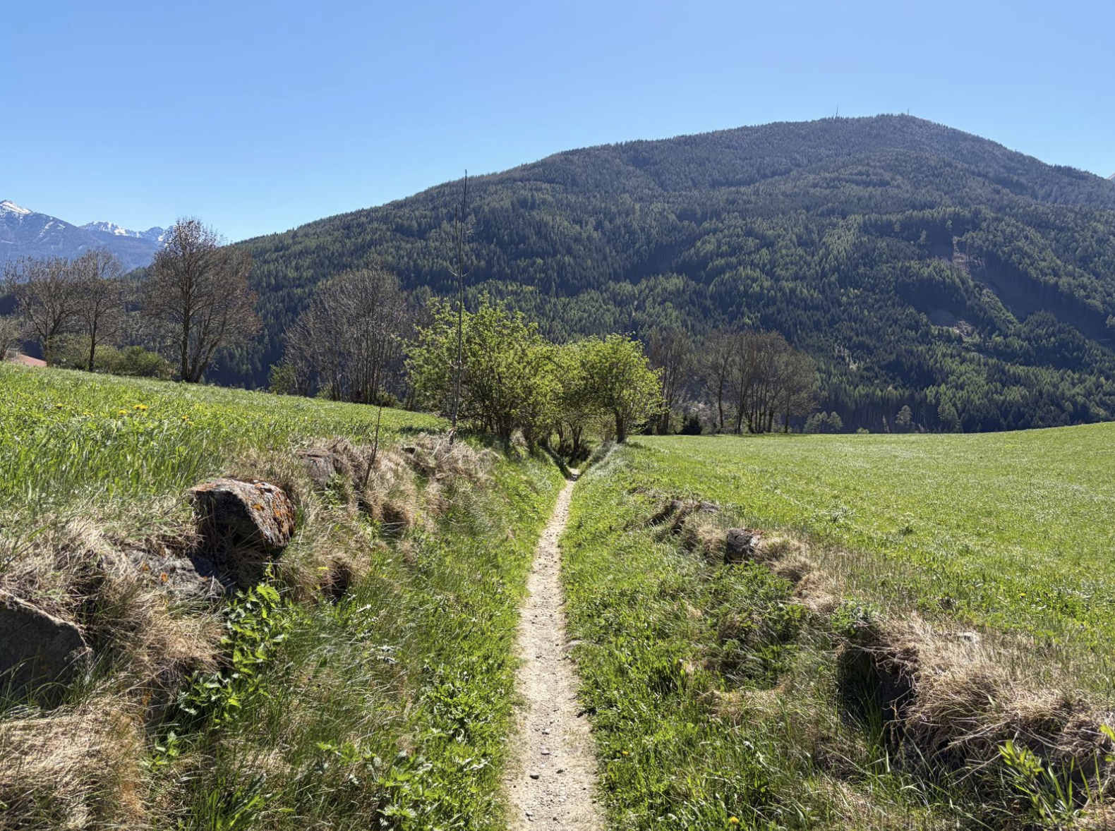 Bildschirmfoto 2026 04 26 um 09.42.11