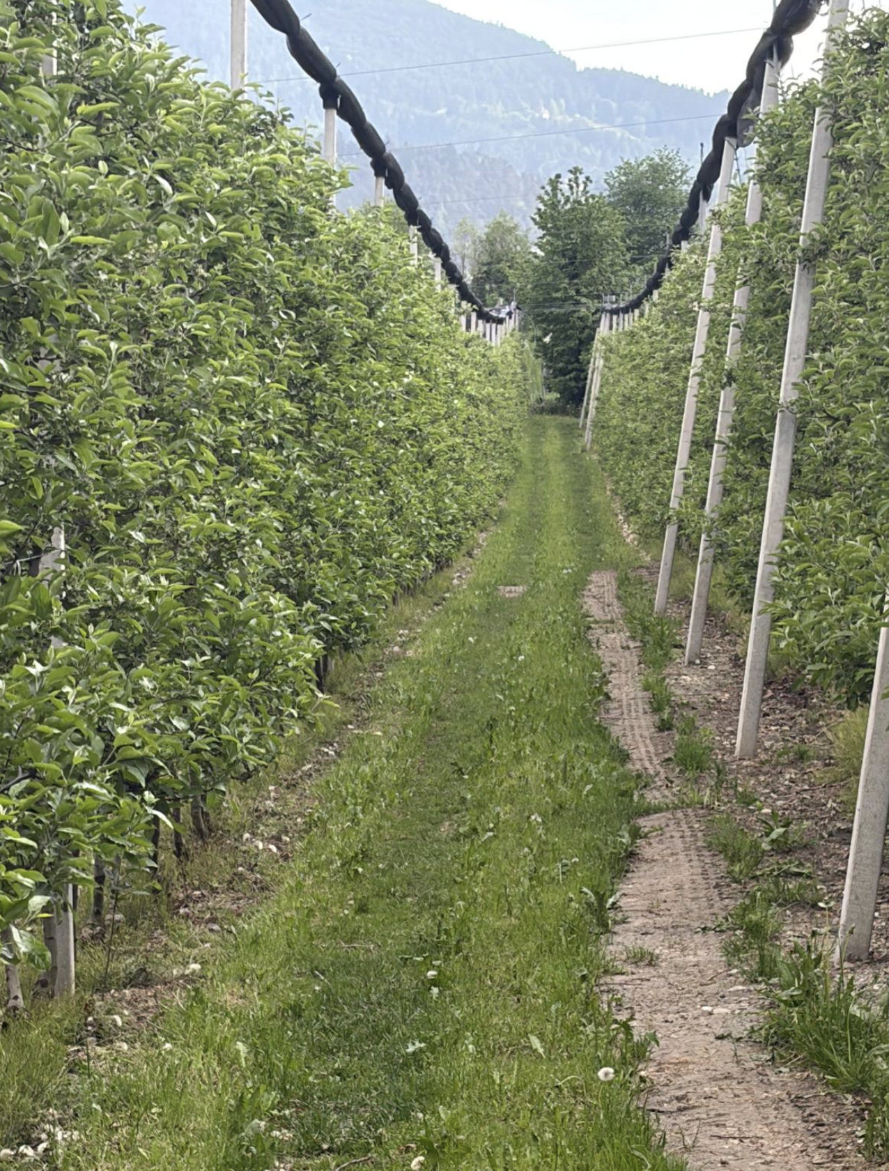 Bildschirmfoto 2026 04 28 um 11.43.02